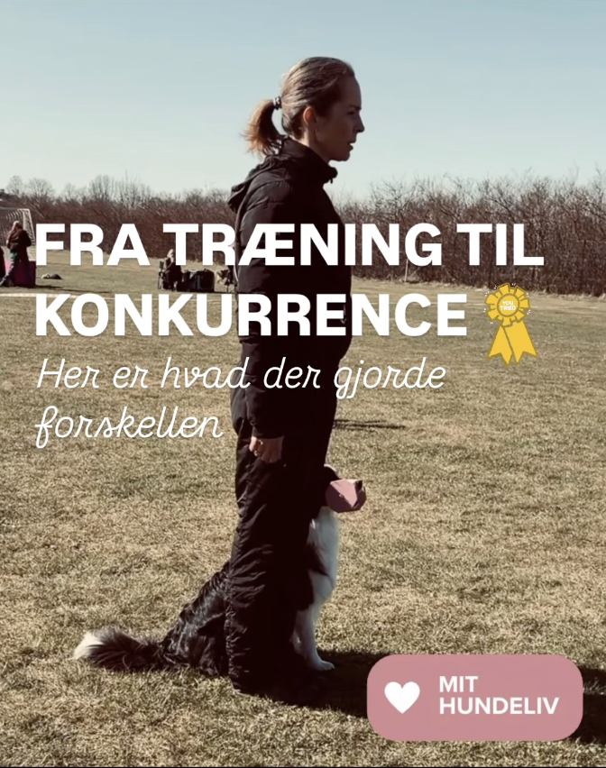 LP1 konkurrence