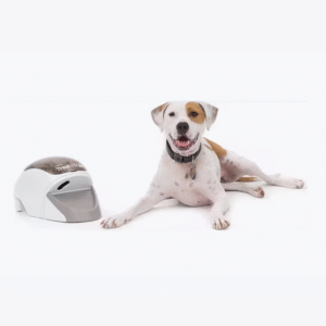 Teach and treat Remote Reward