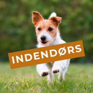 Fortsætterholdet - 5 gange - Torsdage Start 13 november - Kl. 17:00 - 17:50