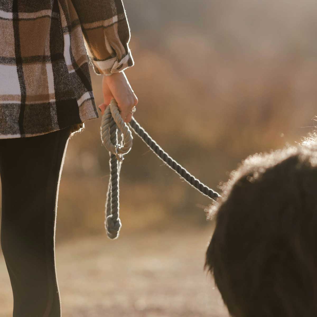 Gå Pænt i Snor vers. 1.0