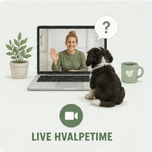 LIVE Hvalpetime – 30 dages adgang