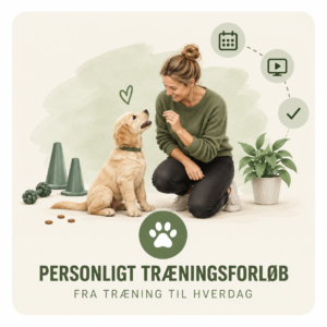 Personligt træningsforløb - Hvalp